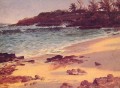 Cala Bahama Playa Albert Bierstadt